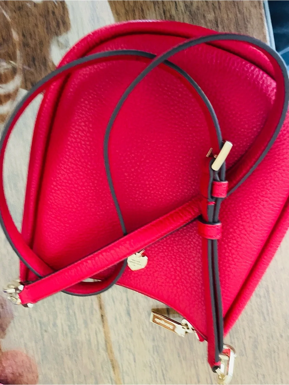 kate spade Red Pebbled Leather Saddle Crossbody with Gold Accent